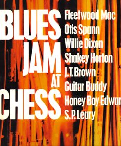Blues Jam At Chess (feat. Fleetwood Mac)