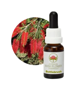 AU Bottlebrush, 15ml