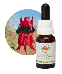 AU Sturt Desert Pea, 15ml