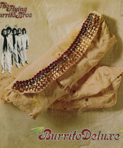 Burrito Deluxe