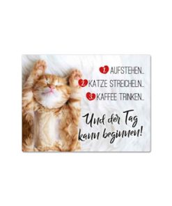 Magnet Katze streicheln