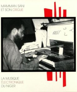 La Musique Électronique de Niger