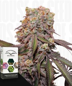Auto Candy Bubatz XL – House of Seeds