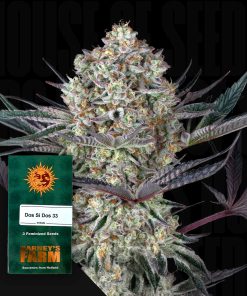 Do Si Dos 33 – House of Seeds