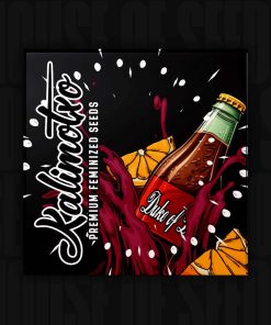 Kalimotoxo – House of Seeds