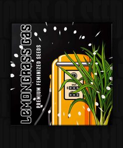 Lemongrass Gas – House of Seeds