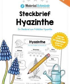 Steckbrief Hyazinthe [Digital]
