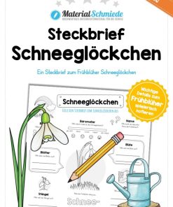 Steckbrief Schneeglöckchen [Digital]