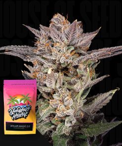 Mylar Magic 2.0 – House of Seeds