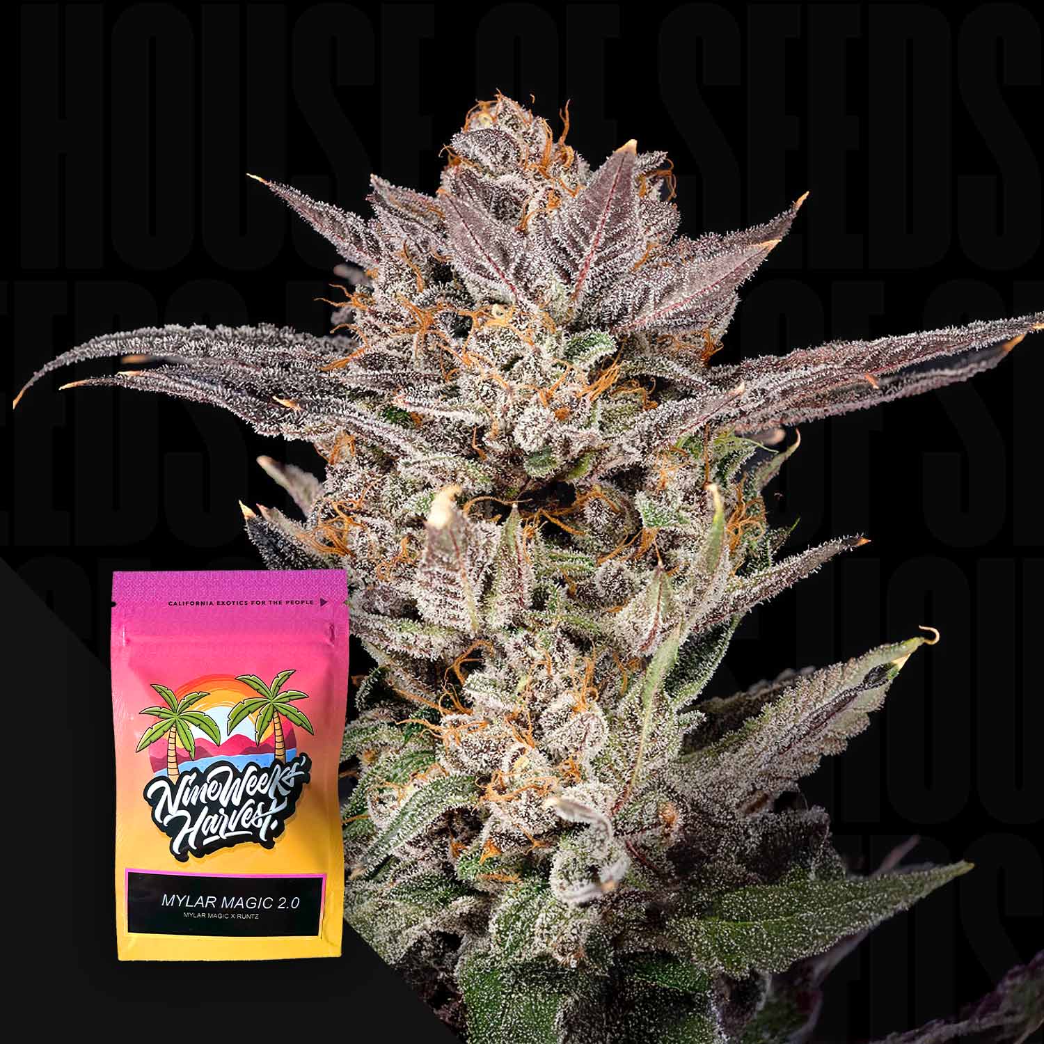 Mylar Magic 2.0 – House of Seeds