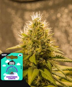 Northern Lights – House of Seeds