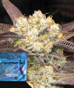 Vitamin Z – House of Seeds